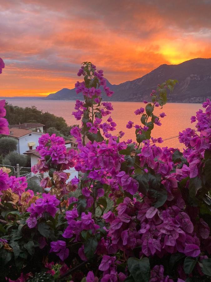 Le Due Terrazze Villa Brenzone sul Garda Exterior photo